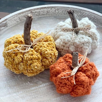 067 The Knobby Little Pumpkin
