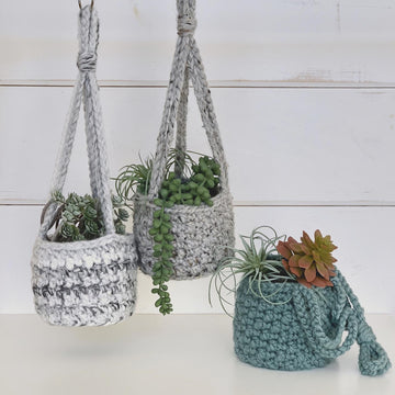 The Lemon Peel Planter 056
