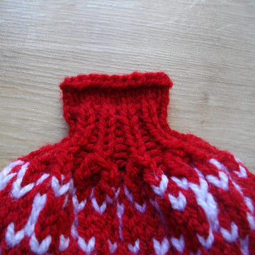 Wine bottle cozy for Christmas