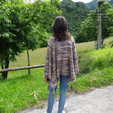 Colori nel vigneto