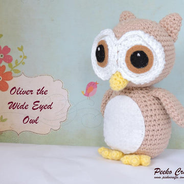 Oliver the Wide Eyed Owl