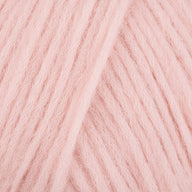 Cameo Rose