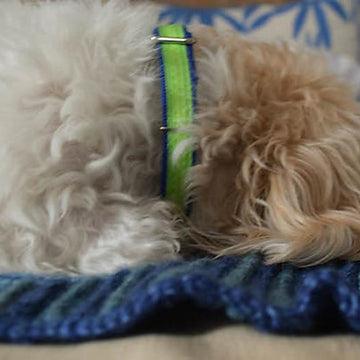 Mitered Square Pet Blanket
