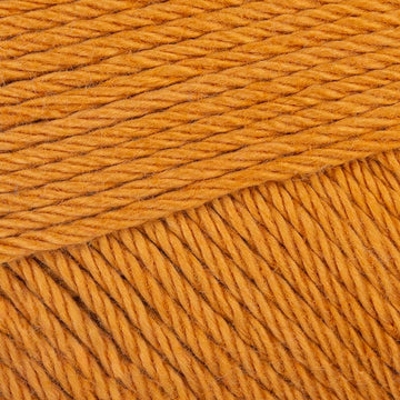 Ginger Gold (383)