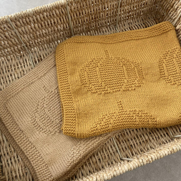 Autumn Pumpkin Knit Blanket