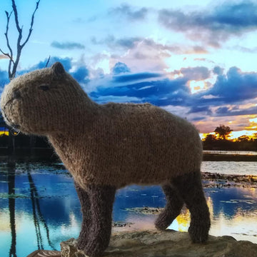 Capybara