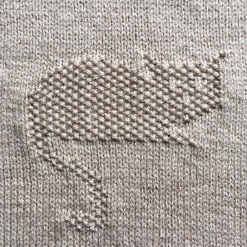 Kittens baby blanket