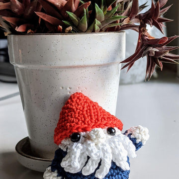 Mini Gnome