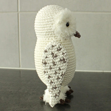 Gwenn the Snowy Owl
