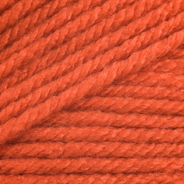 Pumpkin (306)
