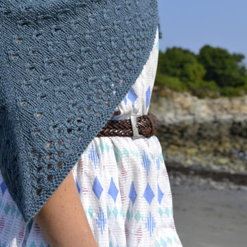 Aleida Shawl
