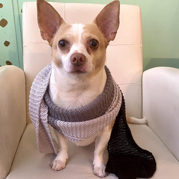 Smooth As Silk Scarf