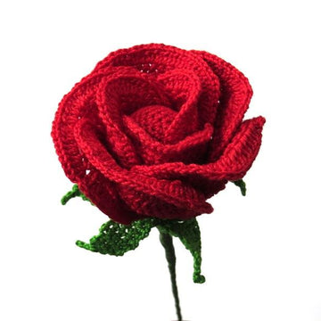 Rose half open bud