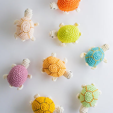 Pocket Pal Turtles