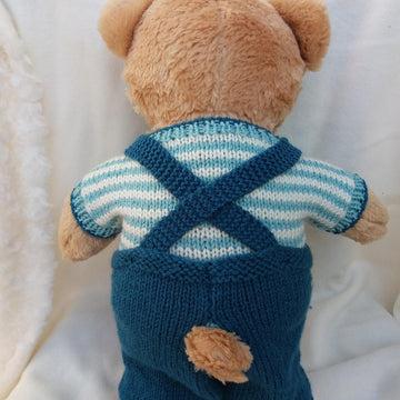 Teddy bear dungarees and top