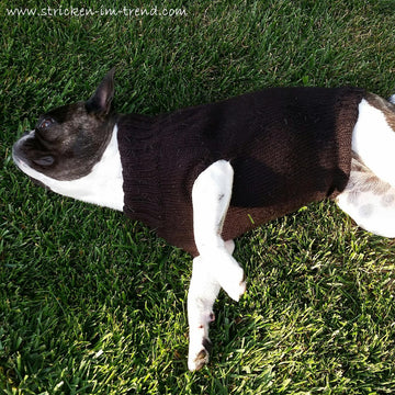 Knitting Pattern Dog Sweater LILO | French Bulldog Jumper | Pet Knitwear PDF
