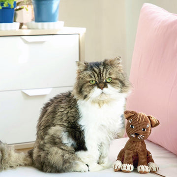 Brownie The Kitty