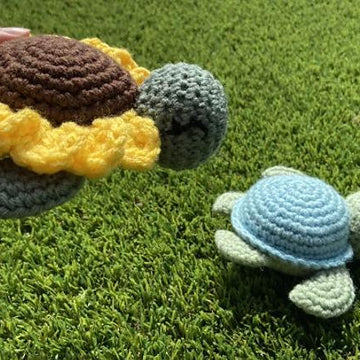 Turtles