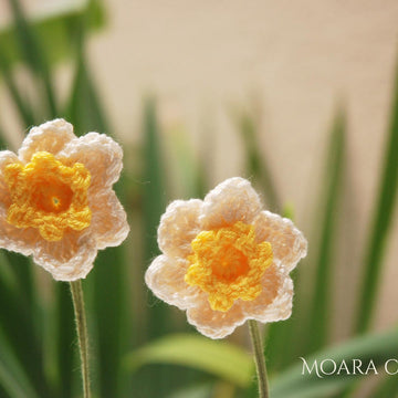 Crochet Daffodil