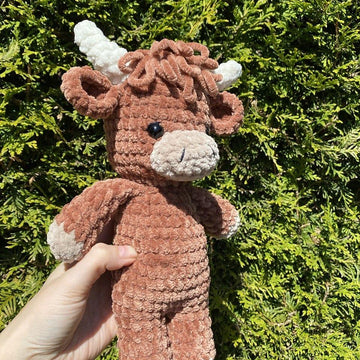 Highland cow standing
