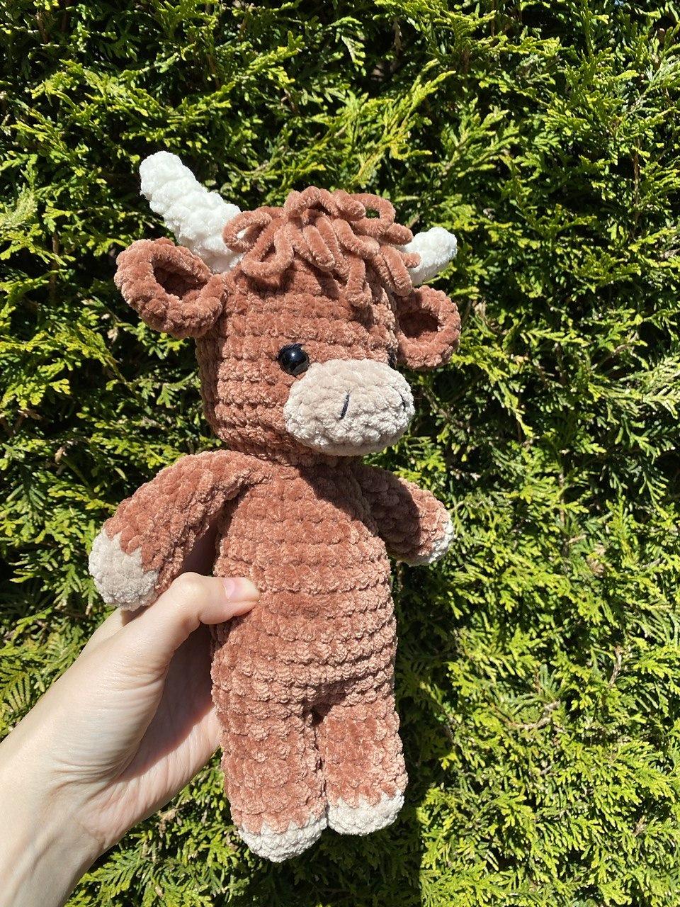 Highland cow standing