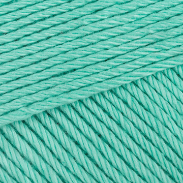 Neo Mint (00291)