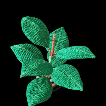Crochet Rubber plant/Fig leaf
