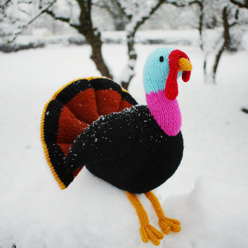 Trevor the Turkey