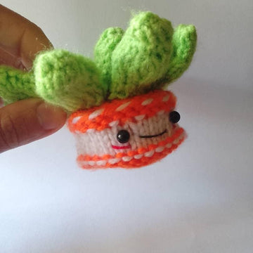 ECHEVERIA SUCCULENT knit