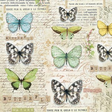 Stamperia Intl Stamperia Rice Paper Sheet A4 - Butterfly
