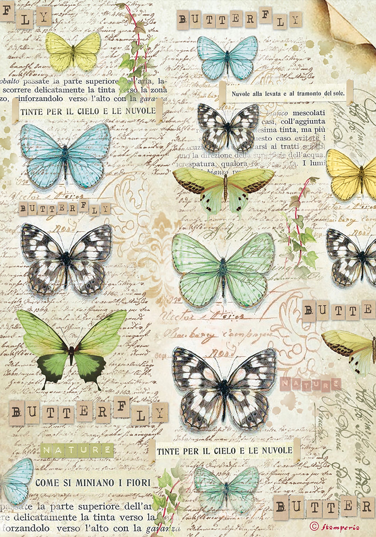 Stamperia Intl Stamperia Rice Paper Sheet A4 - Butterfly