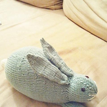Henry's Rabbit