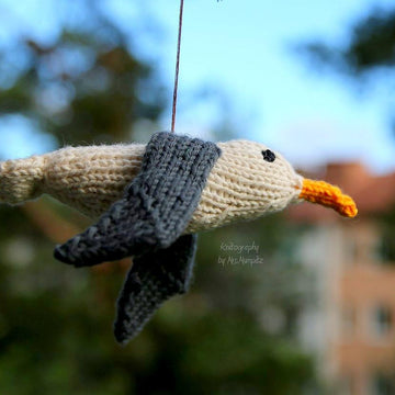 Sonja the Seagull