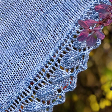 Eve Shawl