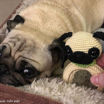 Pug Rattle Ring