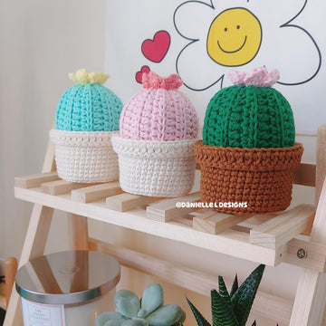 Cactus pin cushion with storage box