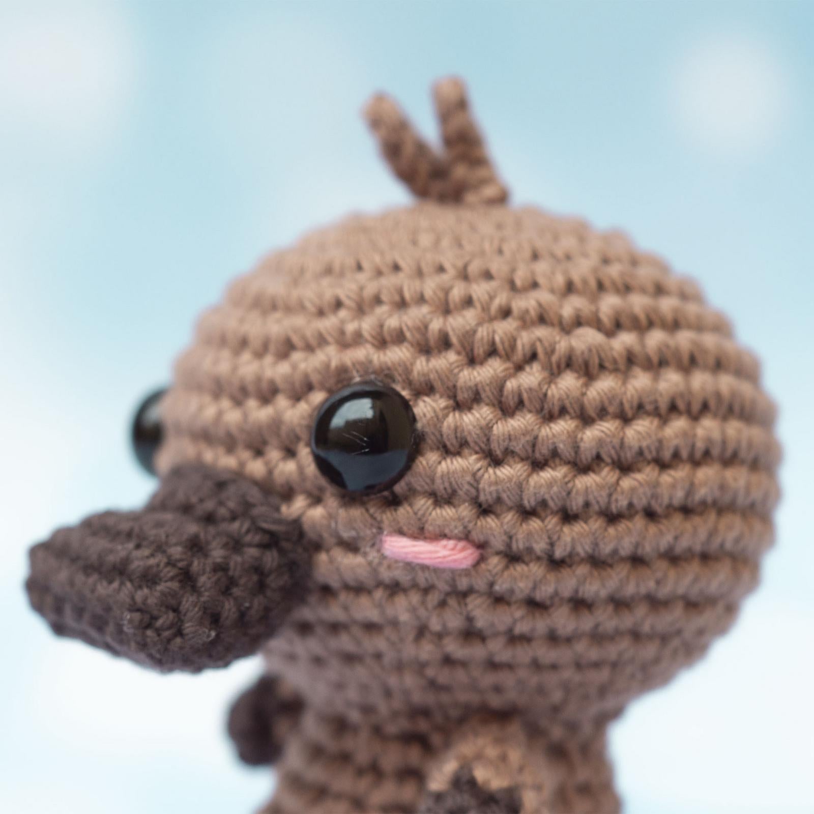 Baby Platypus