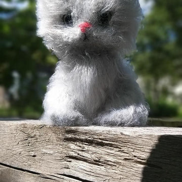Gray Cat