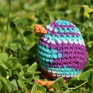 Pip the Chick Egg