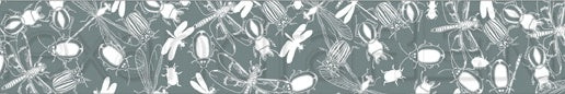 Alexandra Renke Washi Tape 30mmX10m - Insects Pattern, Wildness Of Nature