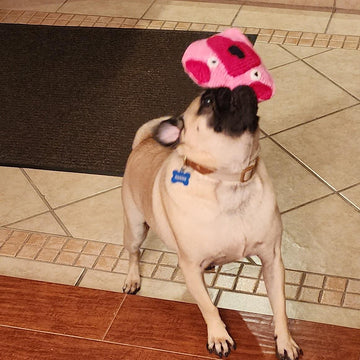 Puppy Love Dog Toy