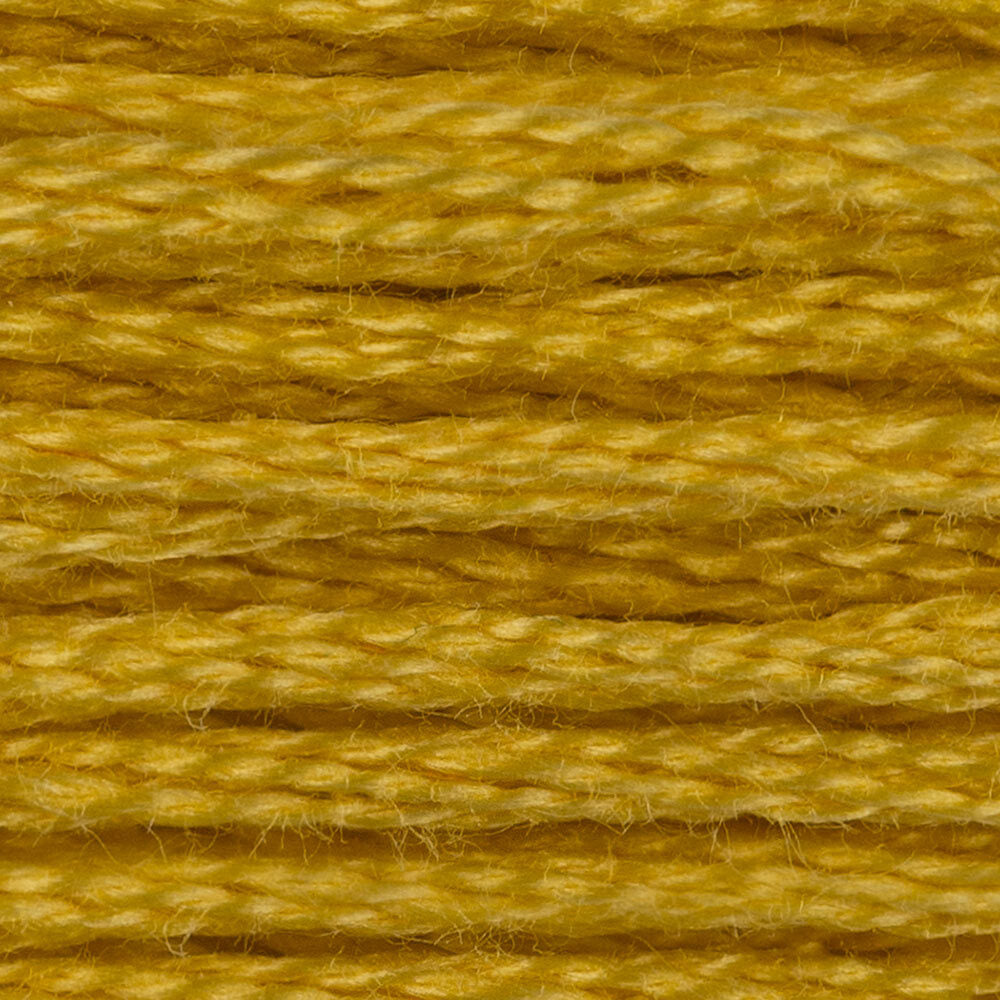 DMC Stranded Cotton - Warm Shades