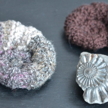 Ammonite