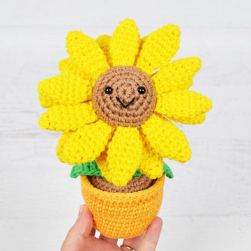 Potted Sunflower