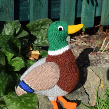 Malcolm the Mallard