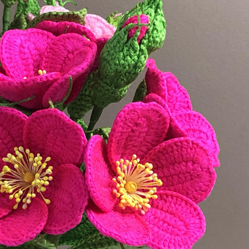Rugosa Rose Crochet Pattern