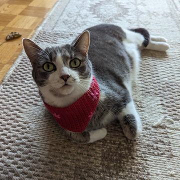 Cat Kerchief