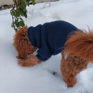 Dog Sweater Charlie No.1