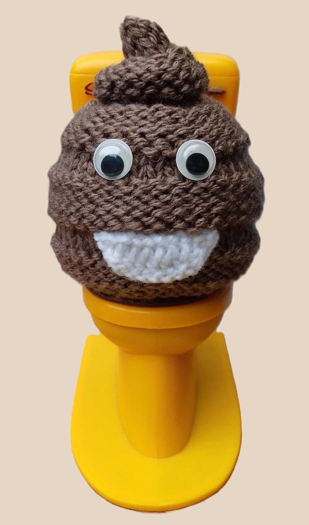 Poop - Chocolate Orange Cover