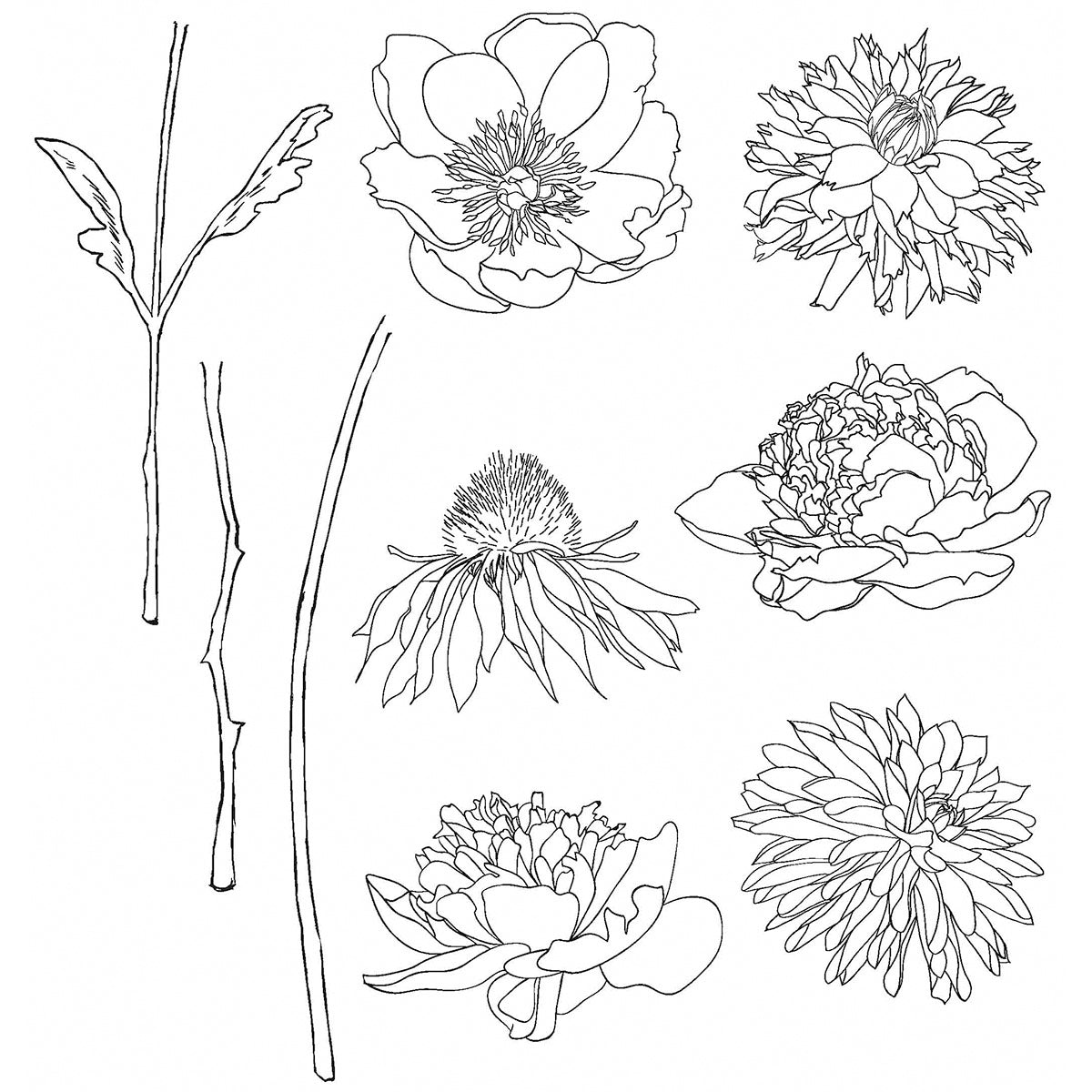Stampers Anonymous Tim Holtz Cling Stamps 7"X8.5" - Flower Garden